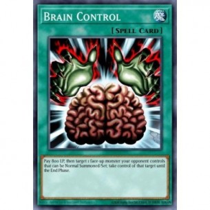 Brain Control
