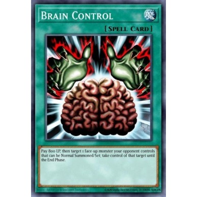 Brain Control