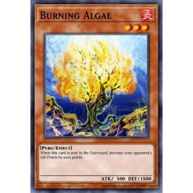 Burning Algae (V.1 - Common)