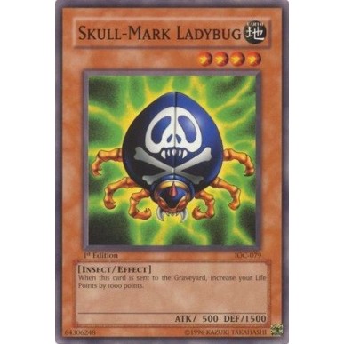 Skull-Mark Ladybug (V.1 - Common)
