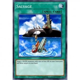 Salvage (V.1 - Common)