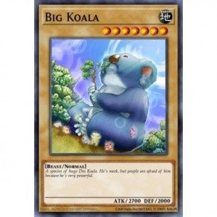 Grande Koala (V.2 - Common)