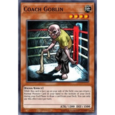 Goblin Allenatore (V.2 - Common)