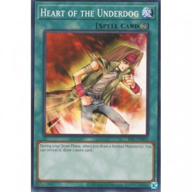 Heart of the Underdog (V.2 - Common)