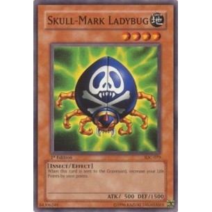 Skull-Mark Ladybug (V.2 -...