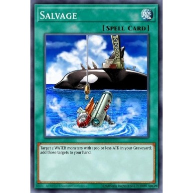 Salvage (V.2 - Common)