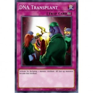 Trapianto di DNA (V.2 -...