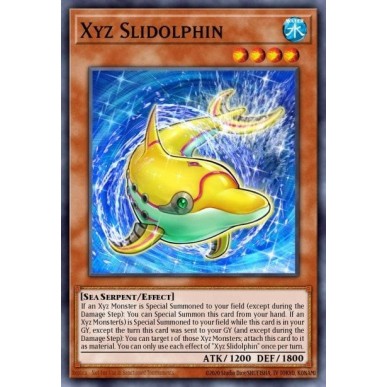 Scivoldelfino Xyz