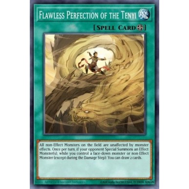 Perfezione Impeccabile del Tenyi