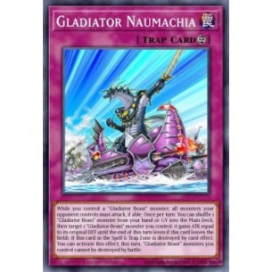 Naumachia dei Gladiatori