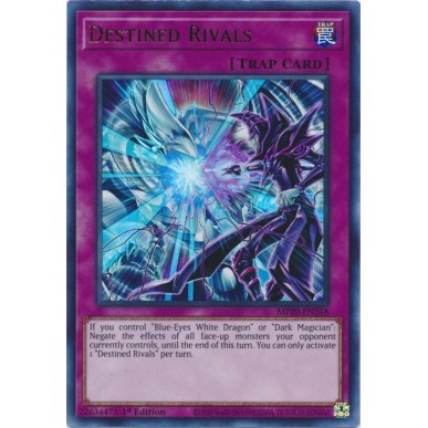 Rivali Predestinati