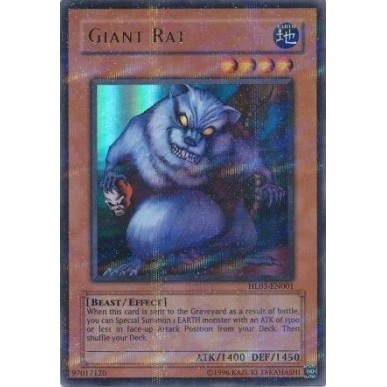 Ratto Gigante