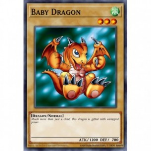 Cucciolo di Drago