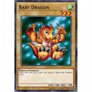 Cucciolo di Drago