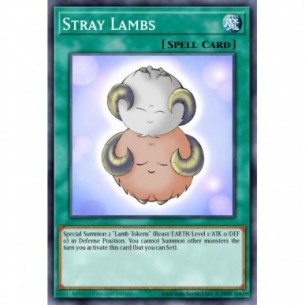 Stray Lambs