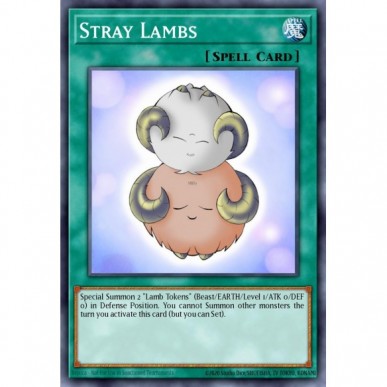 Stray Lambs