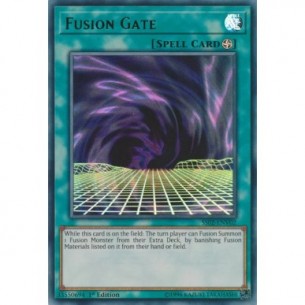Fusion Gate