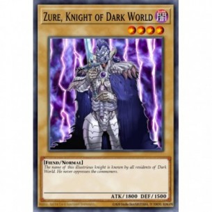 Zure, Knight of Dark World