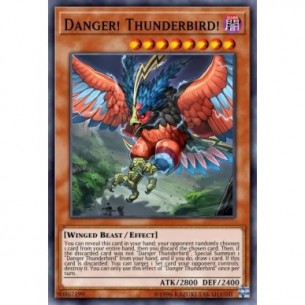 Danger! Thunderbird!