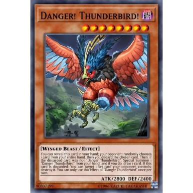 Danger! Thunderbird!