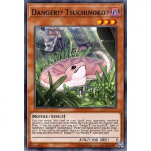 Danger!? Tsuchinoko?