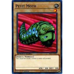 Petit Moth