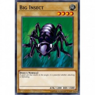 Big Insect