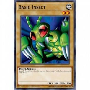 Basic Insect