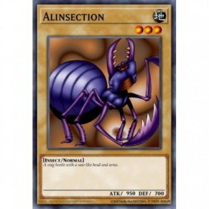 Alinsection