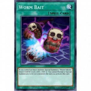 Worm Bait