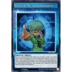 Iper Metamorfosi