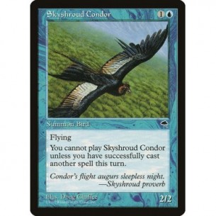 Condor di Cielsudario