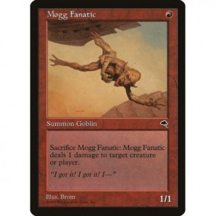 Mogg Fanatico