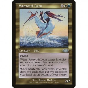 Sawtooth Loon
