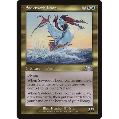 Sawtooth Loon