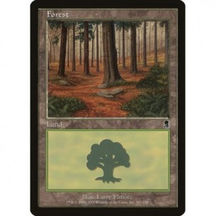 Foresta