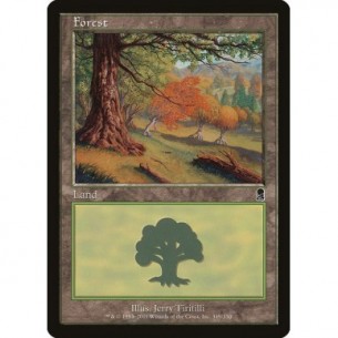 Foresta