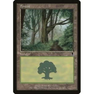 Foresta