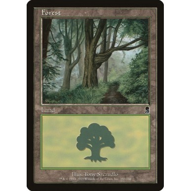 Foresta