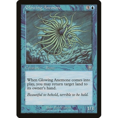 Anemone Luminescente