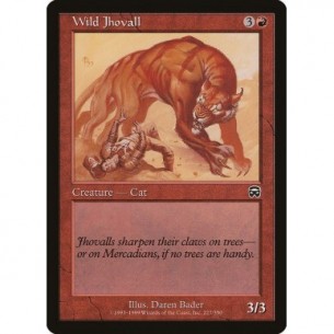 Jhovall Selvaggio