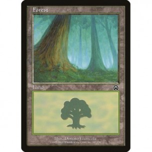Foresta