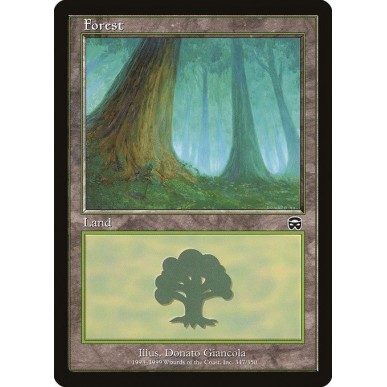 Foresta