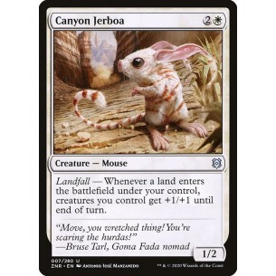Gerboa del Canyon