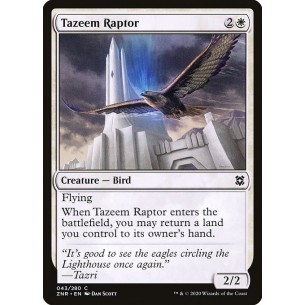 Rapace di Tazeem
