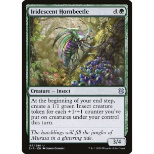 Cornoleottero Iridescente