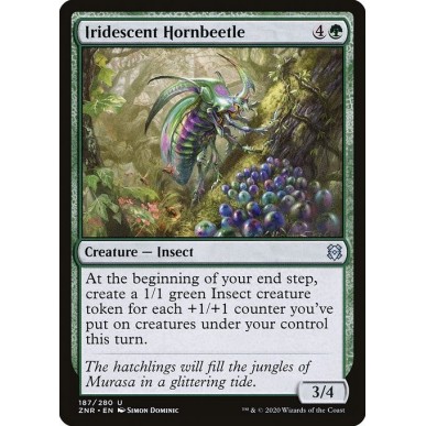 Cornoleottero Iridescente
