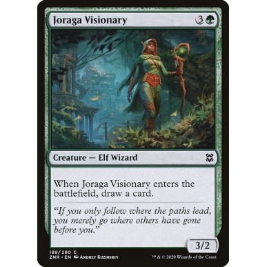 Visionaria di Joraga