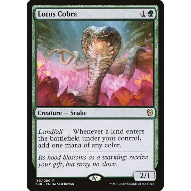 Cobra del Loto