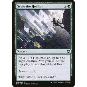 Scale the Heights